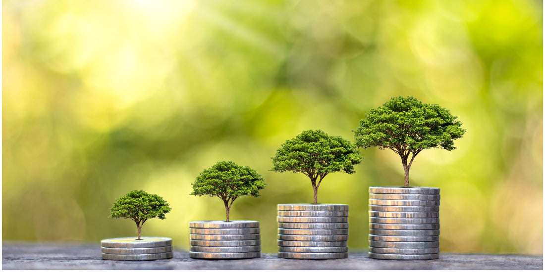 Why Reselling a Cemetery Plot Can Save Families Thousands