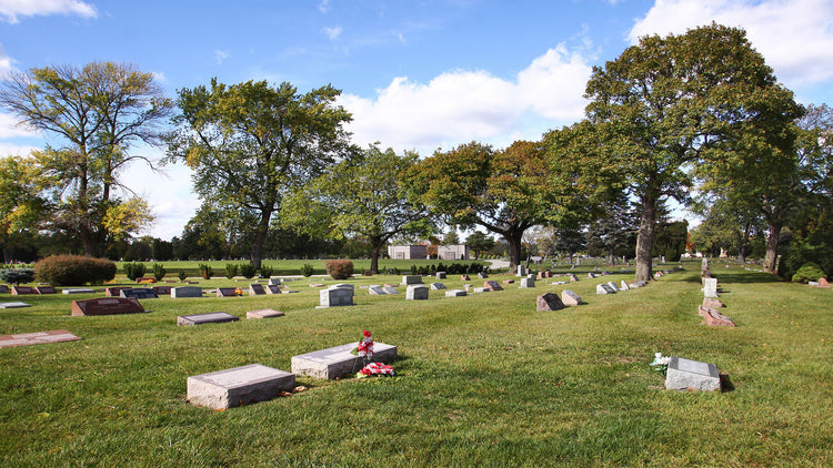 Irving Park Cemetery - Chicago