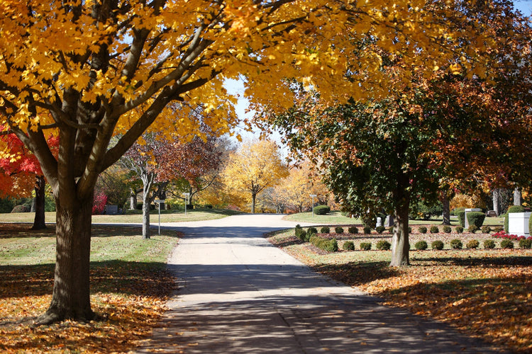 Clarendon Hills Cemetery & Arboretum - Darien