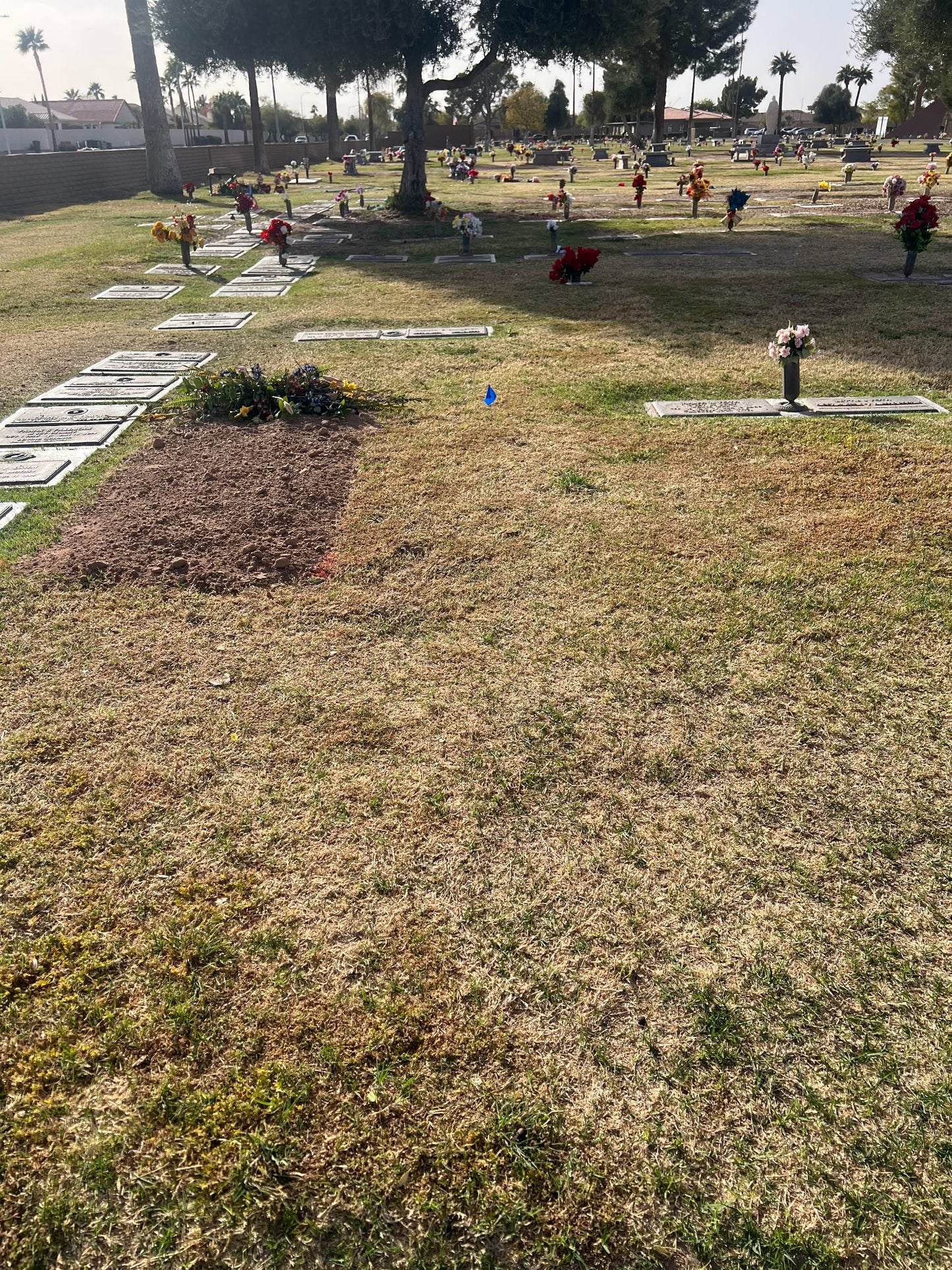 Featured Listing: Valley of the Sun Plot for Sale