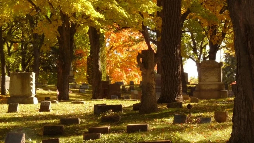 Rienzi Cemetery - Fond Du Lac