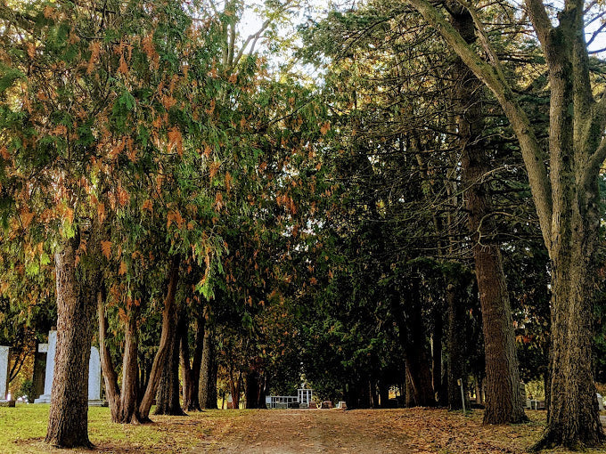 The Catholic Cemetery - La Crosse
