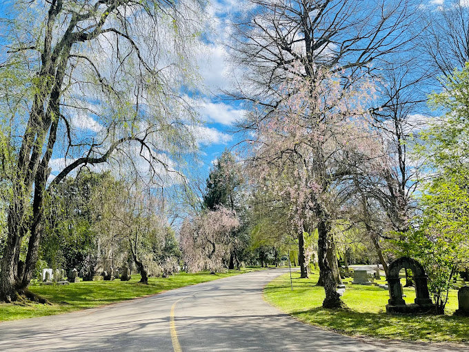 Lexington Cemetery - Lexington