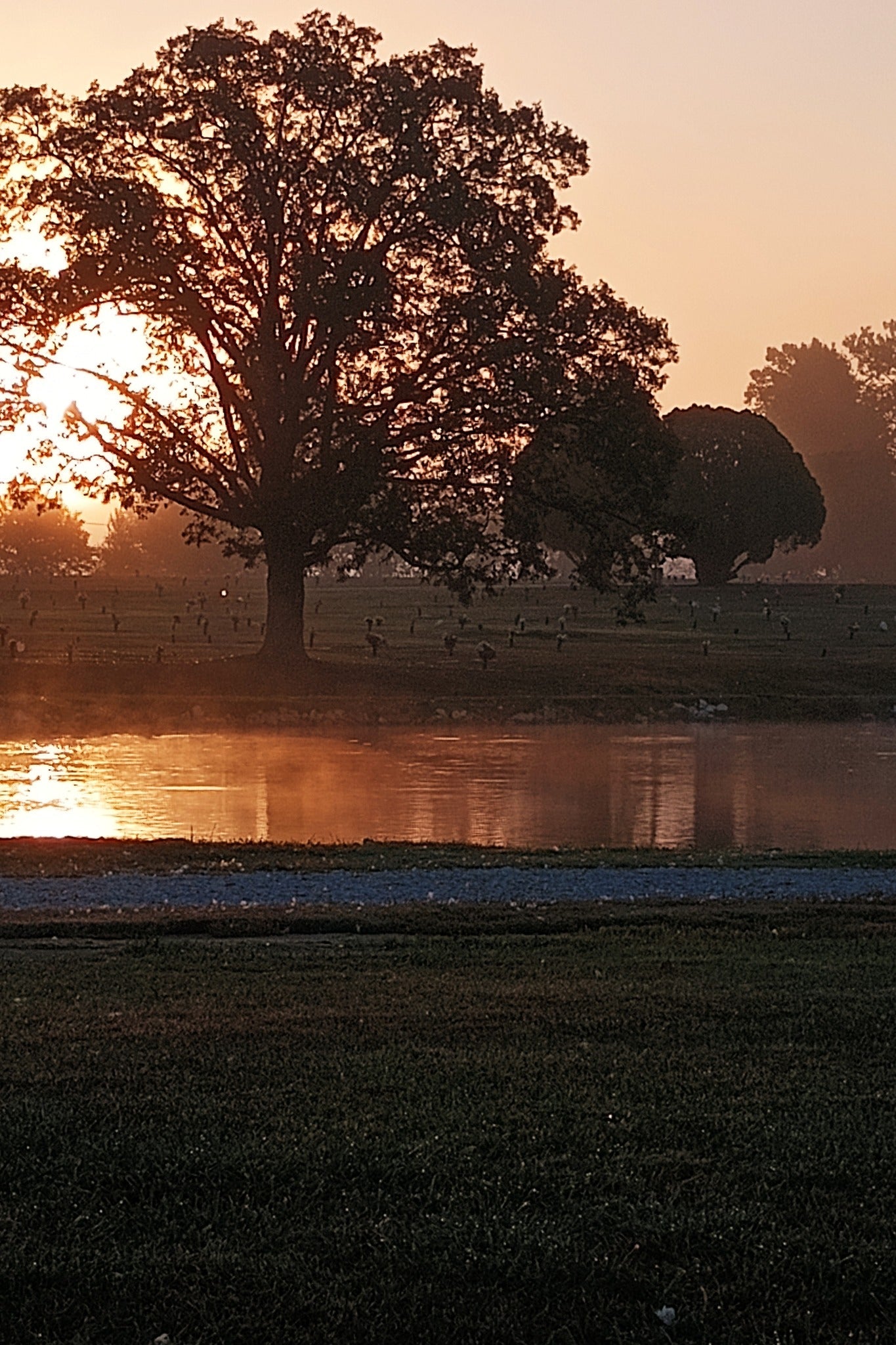 Quincy Memorial Park - Quincy
