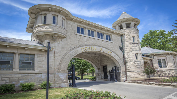 Mount Olive Cemetery - Chicago