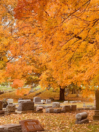 Fairview Cemetery - Waterloo