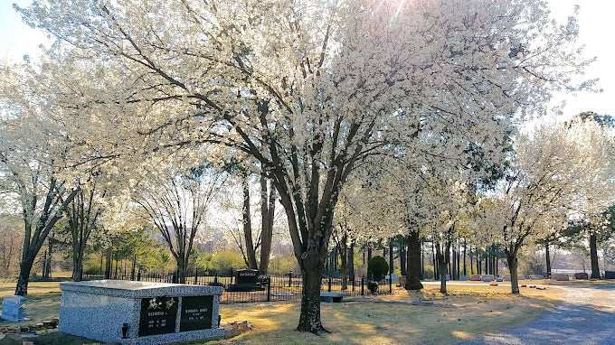 Edgewood Memorial Park - North Little Rock