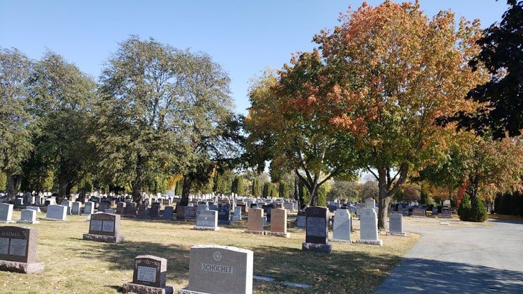 Minneapolis Jewish Cemetery - Minneapolis