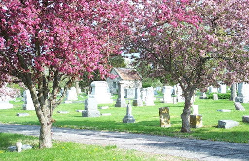 Columbia Cemetery - Columbia