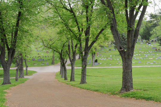Mount Hope Cemetery & Mausoleum - St. Louis