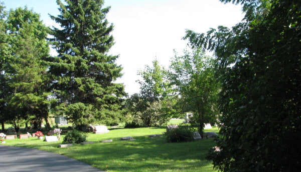 Tanner Cemetery - Flint