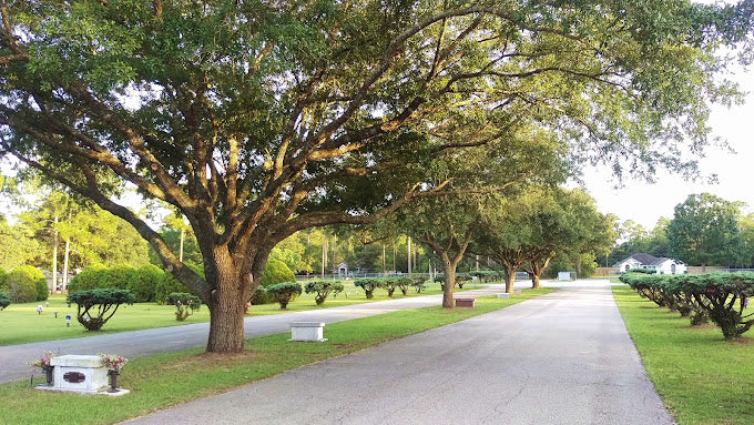 Green Pine Cemetery - Yulee