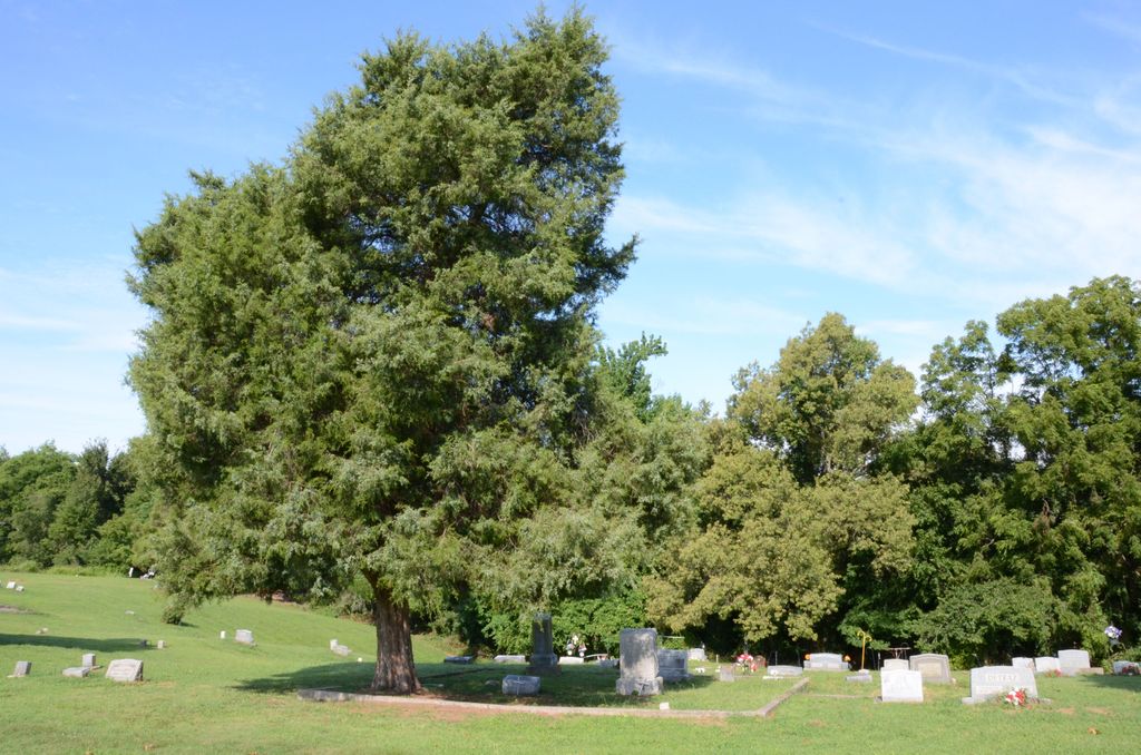 Woodland Baptist Cemetery - Spring Grove