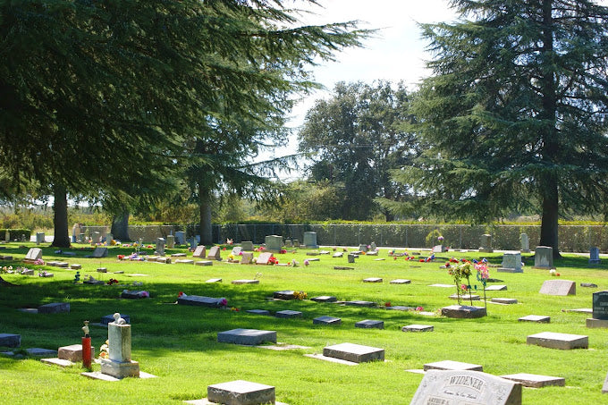 Live Oak Cemetery - Live Oak