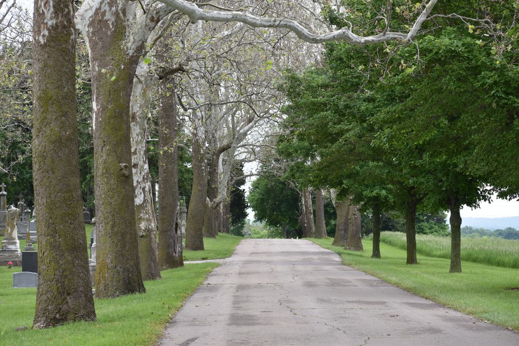 Mount Calvary Cemetery - Lansing