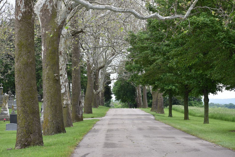 Mount Calvary Cemetery - Lansing