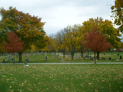 Woodlawn Cemetery - Auburn