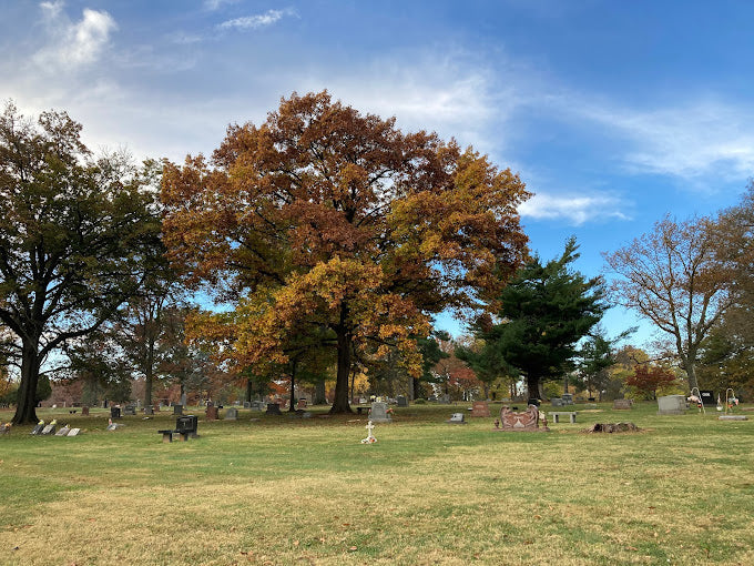 Saint Paul Churchyard - Affton