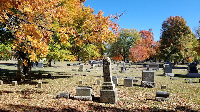 Maple Park Cemetery - Springfield