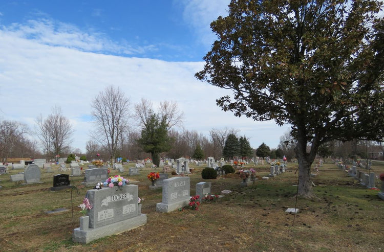 Mount Holly Cemetery - Fairdale