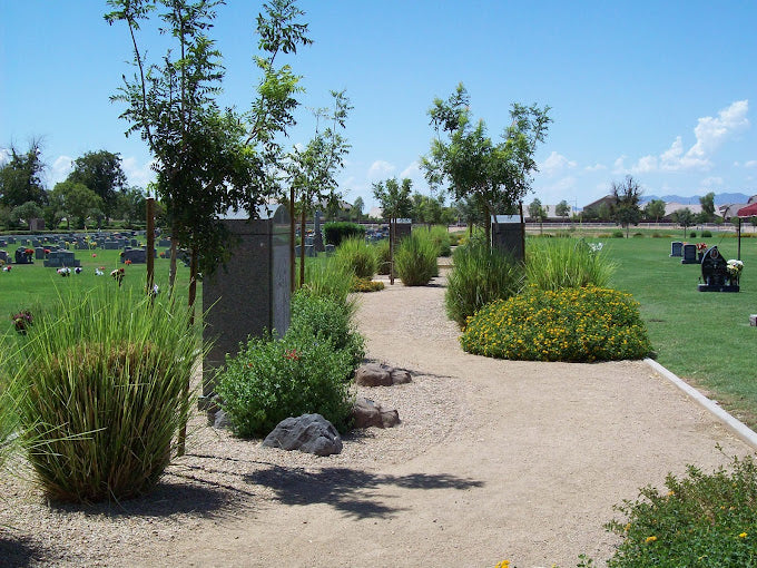 Holy Cross Catholic Cemetery - Avondale