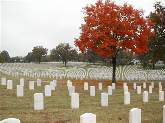 Jefferson Barracks National Cemetery - St. Louis