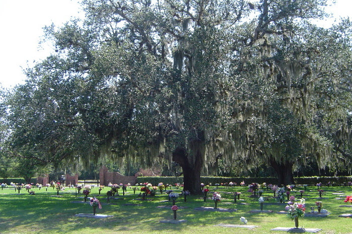Craig Memorial Park (St. Augustine Memorial Park) - St. Augustine