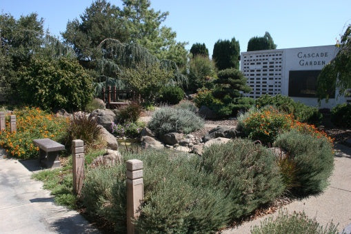 Cherokee Memorial Park - Lodi