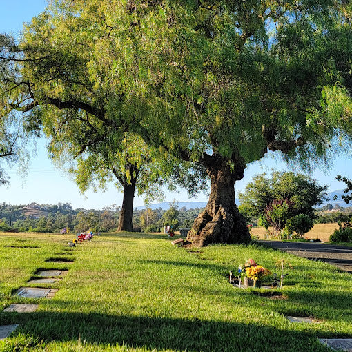 Valley Center Cemetery - Valley Center