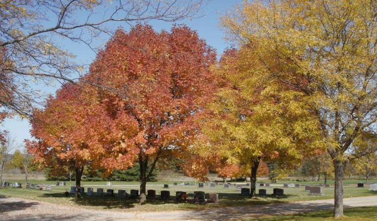 Gate of Heaven Cemetery - La Crosse