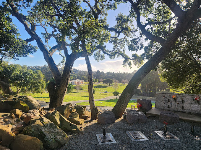 Lone Tree Cemetery - Hayward