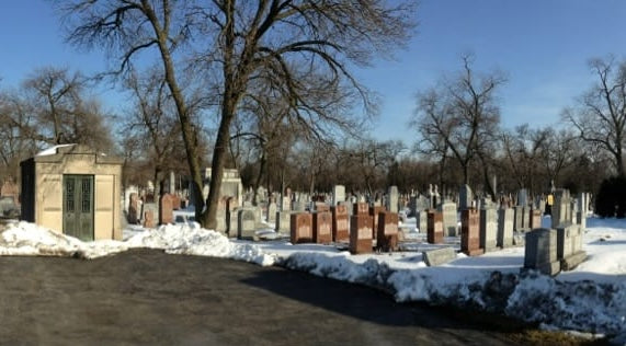 Free Sons of Israel Cemetery - Forest Park