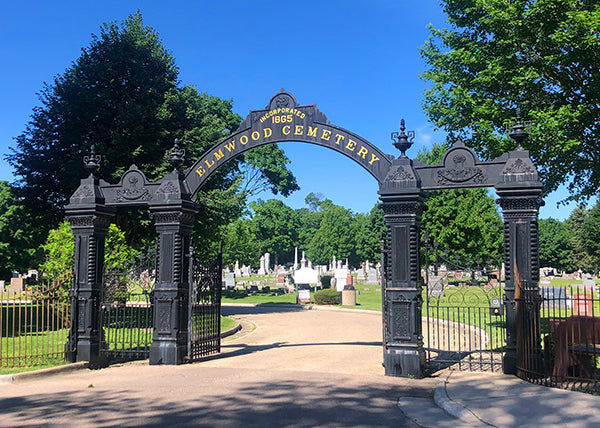 Elmwood Cemetery - Sycamore