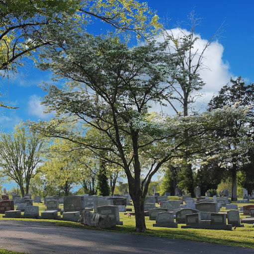 Rose Lawn Memorial Gardens Cemetery - Crystal City