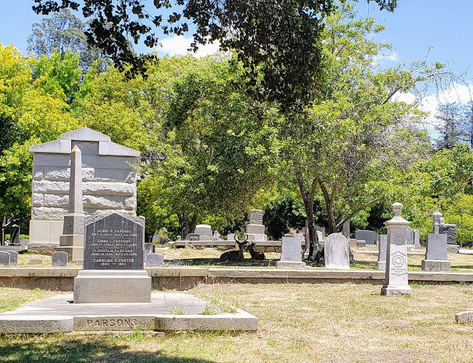 Santa Cruz Memorial Park - Santa Cruz