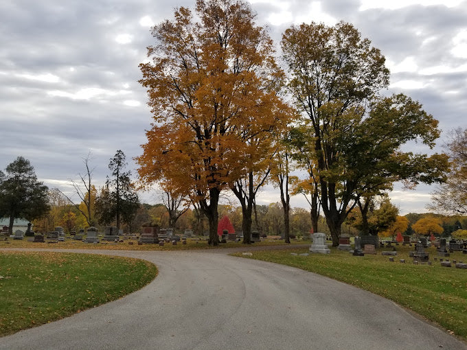 Odd Fellows Cemetery (IOOF) - New Haven