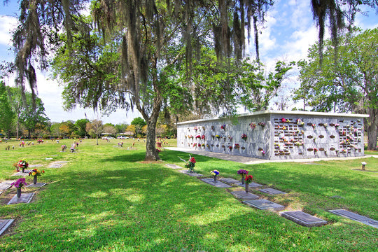Chapel Hill Cemetery - Orlando