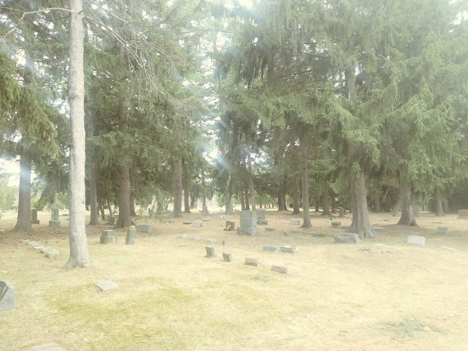 Woodlawn Memorial Cemetery (Clio Cemetery) - Clio