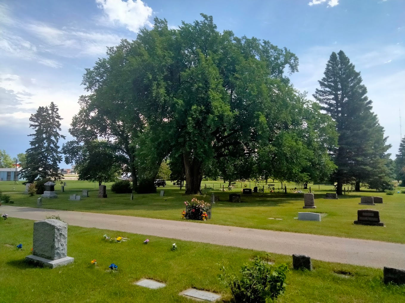 Evergreen Memorial Cemetery - Moorhead