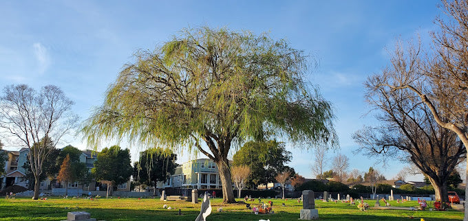 Irvington Memorial Cemetery - Fremont