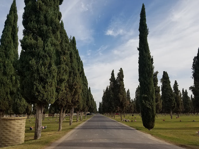 City of Mesa Cemetery - Mesa