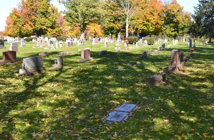 Park View Cemetery - Alexandria