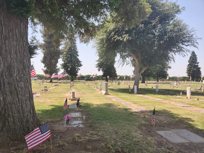 Lindsay-Strathmore Cemetery - Lindsay