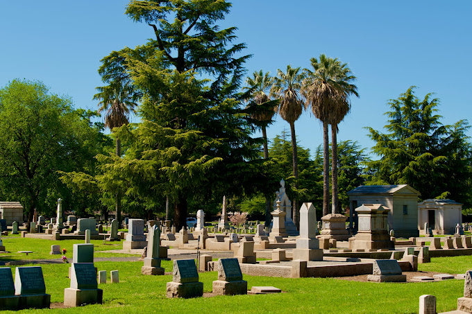 Chico Cemetery - Chico