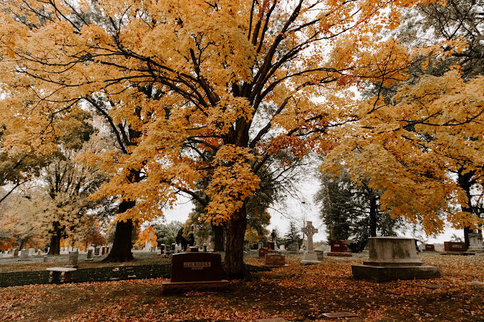 Forest Hill & Calvary Cemetery - Kansas City
