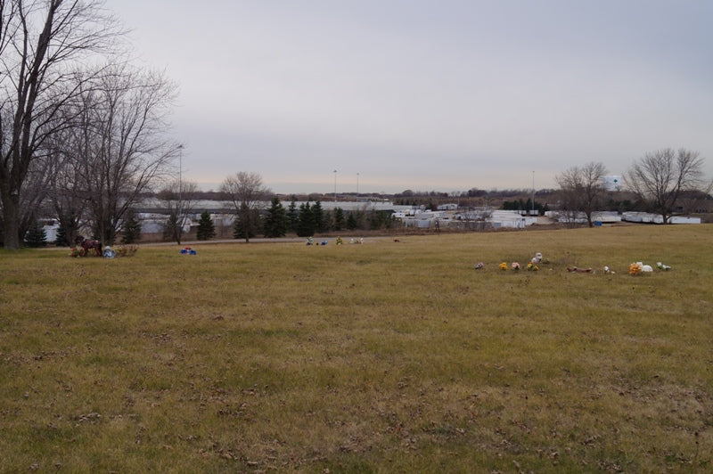 Inver Hills Memorial Cemetery - St. Paul