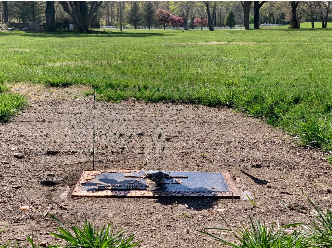 Lawn Crypt for Sale – Washington Memorial Park (2 Spots, Roosevelt Section · Tamarack Lane · Grave 59D):