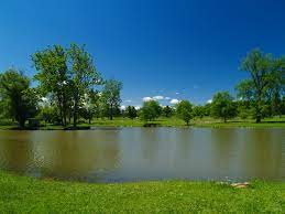 Multiple Graves for Sale – Crown Hill Cemetery - Twinsburg (39 Spots, All located in Section 37):