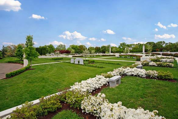 Two beautiful in-ground plots