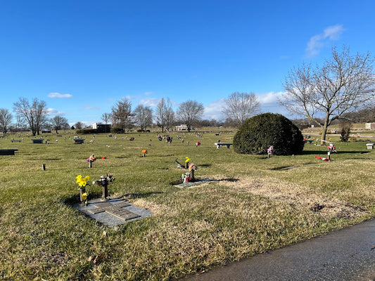 3 adjacent plots in a Great Location!